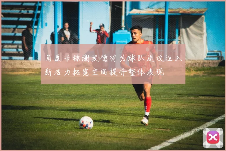 乌度卡称谢泼德将为球队进攻注入新活力拓宽空间提升整体表现