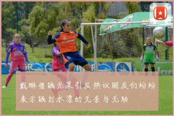 戴琳借钱无果引发热议朋友们纷纷表示钱打水漂的无奈与无助