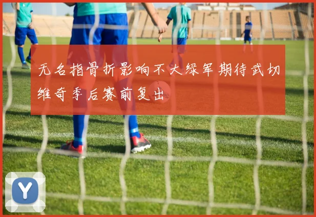 无名指骨折影响不大绿军期待武切维奇季后赛前复出