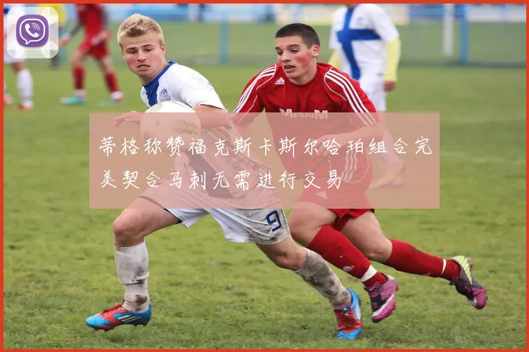 蒂格称赞福克斯卡斯尔哈珀组合完美契合马刺无需进行交易