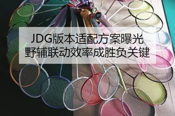 JDG版本适配方案曝光 野辅联动效率成胜负关键 - huobosports